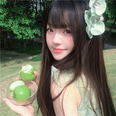 大丽花与红皮书
